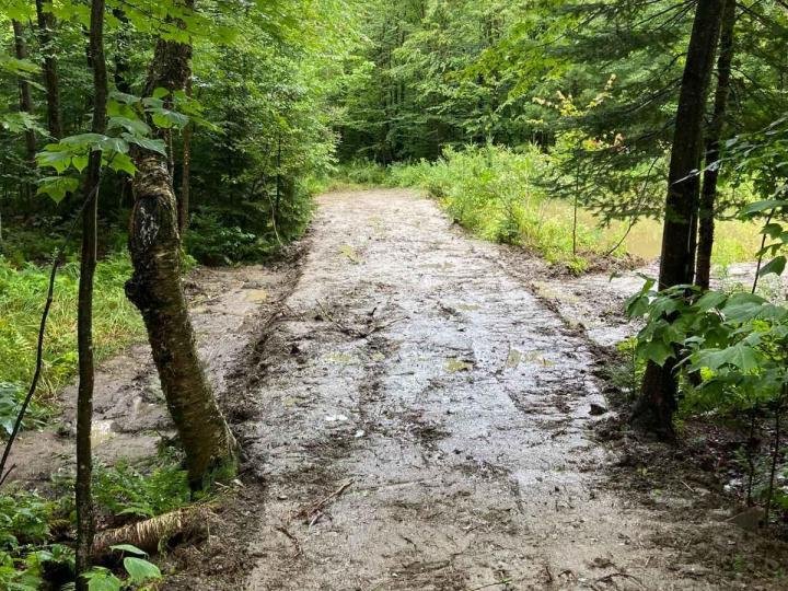 Notre équipe réalise tous travaux d’aménagement de chemins forestiers.