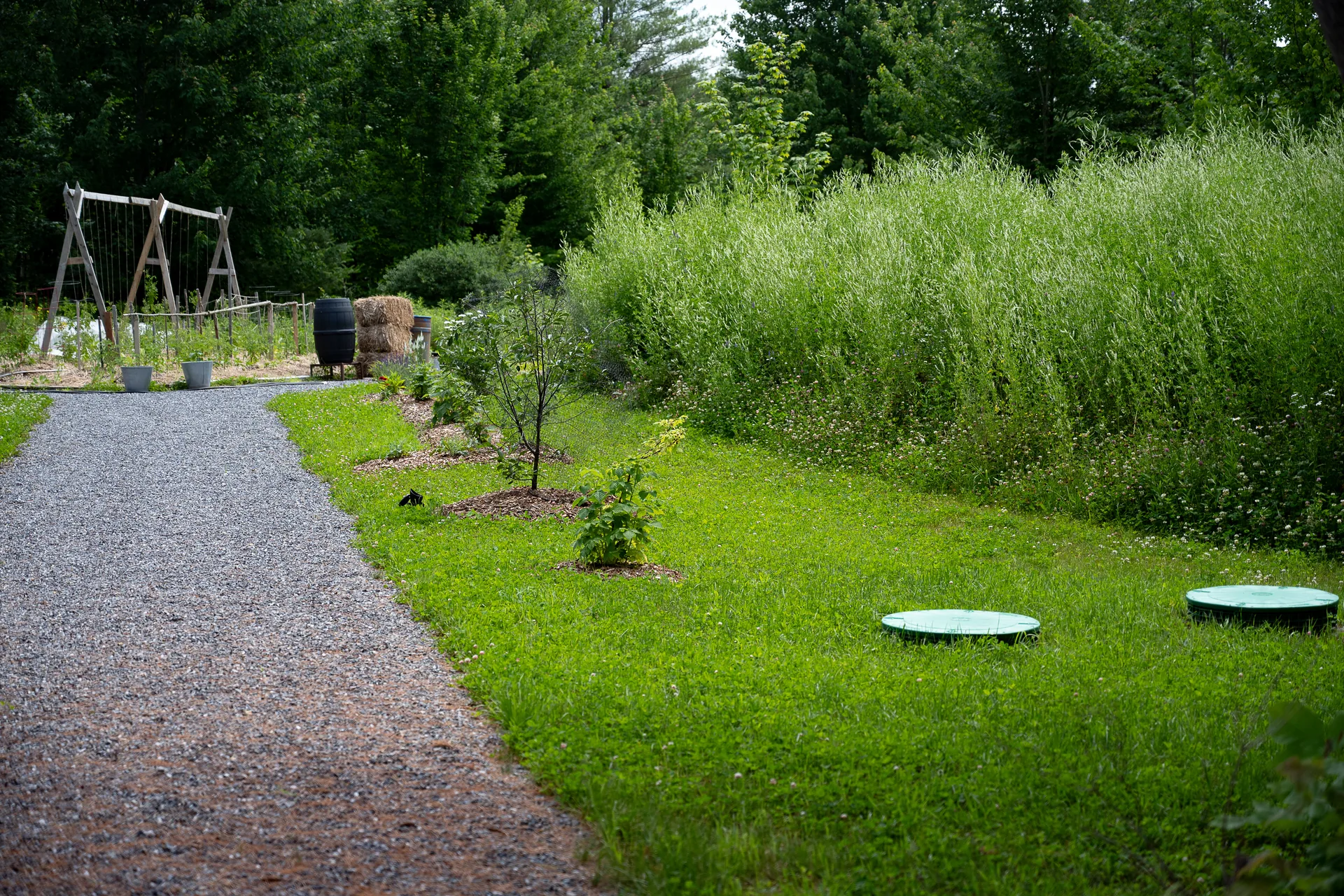 Septic tanks and leach fields