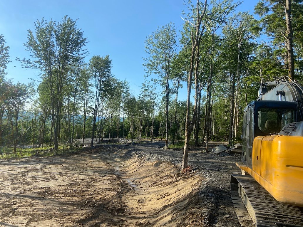Forest roads